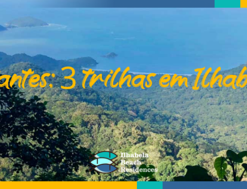 Iniciantes: 3 trilhas em Ilhabela